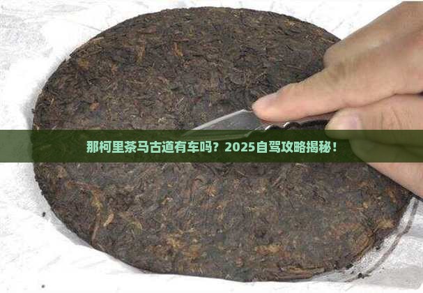 普洱茶马古道那柯里有车吗
