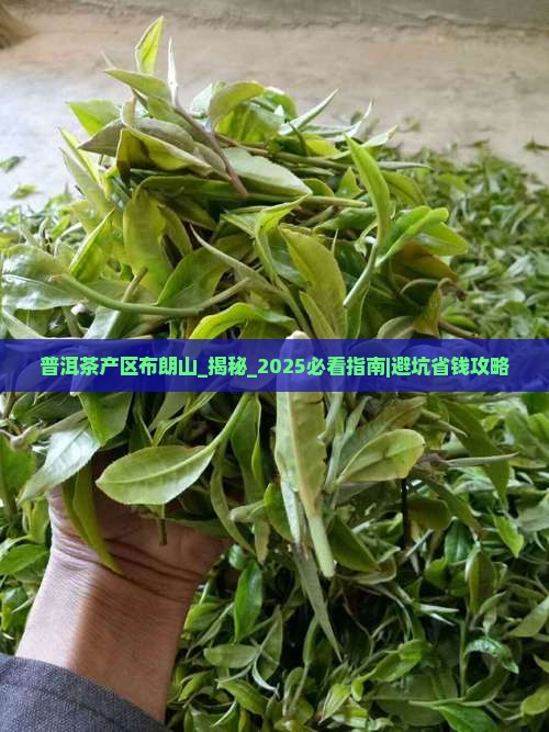 普洱茶产区布朗山