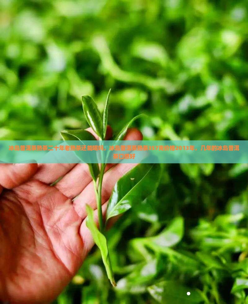 冰岛普洱茶熟茶二十年老熟茶