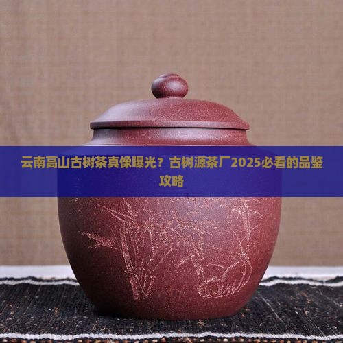 云南高山古树茶古树源茶厂