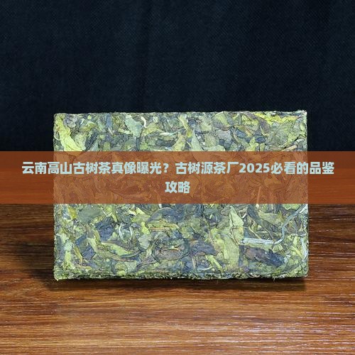 云南高山古树茶古树源茶厂