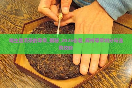 喝生普洱茶的等级