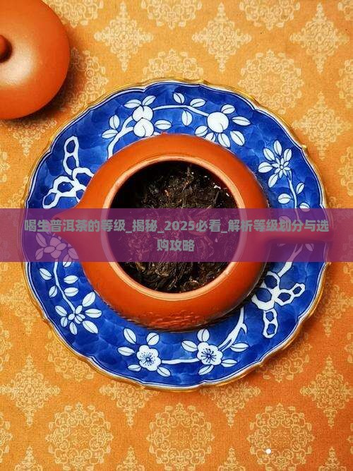 喝生普洱茶的等级