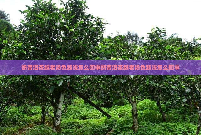 熟普洱茶越老汤色越浅怎么回事