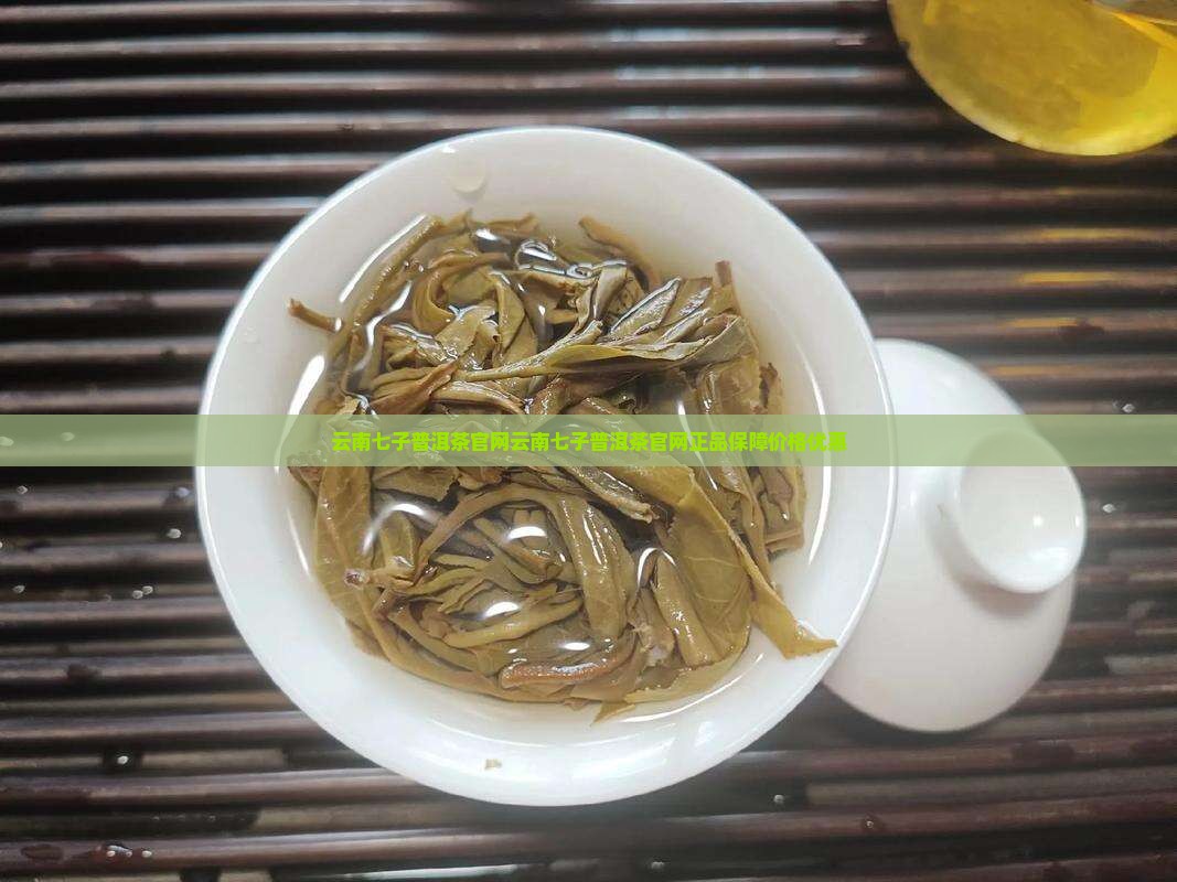云南七子普洱茶官网