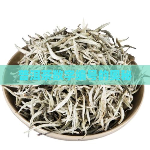 普洱茶笋壳上的编号
