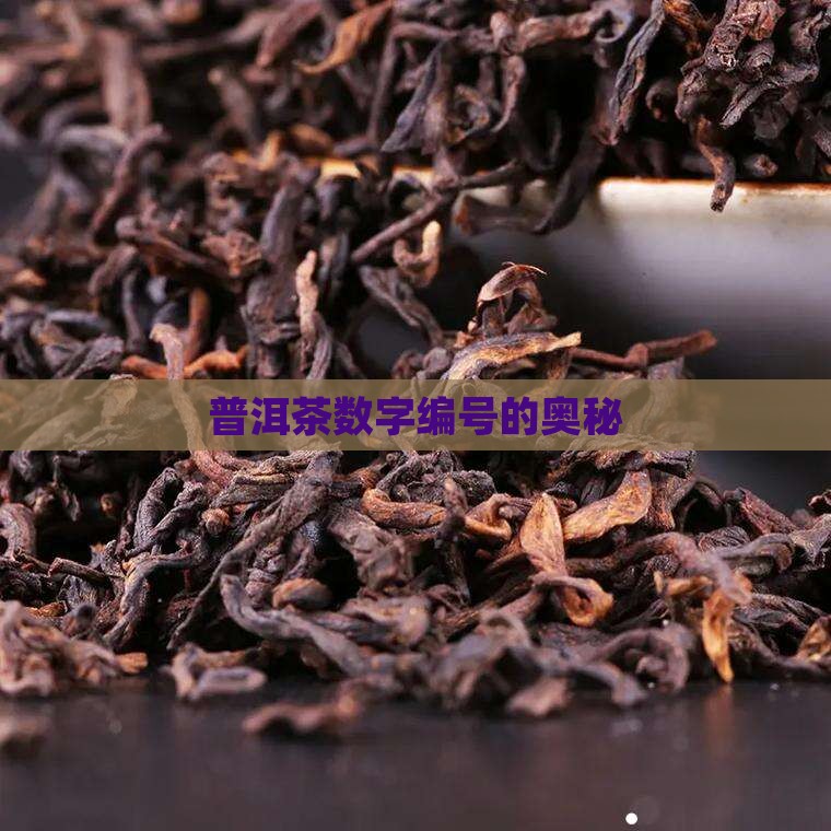 普洱茶笋壳上的编号