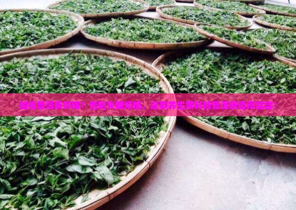知福普洱茶好嘛