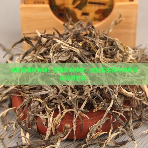 知福普洱茶好嘛