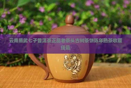 云南易武七子普洱茶