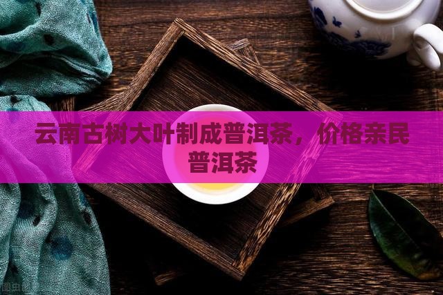 古树果感普洱茶
