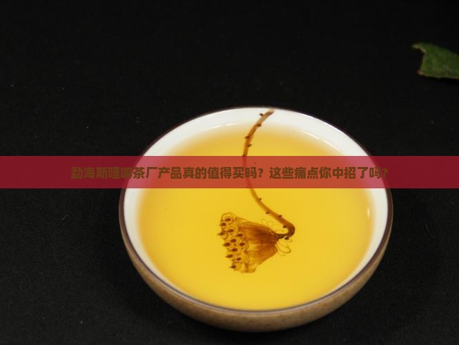勐海斯哩嘛茶厂产品
