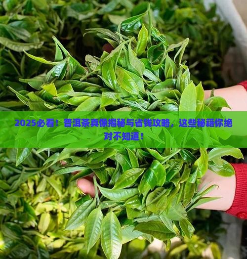 普洱茶宣传文字
