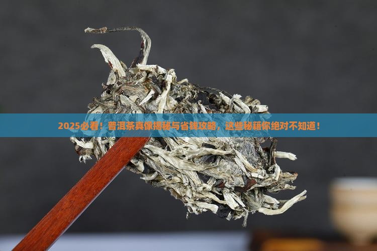 普洱茶宣传文字