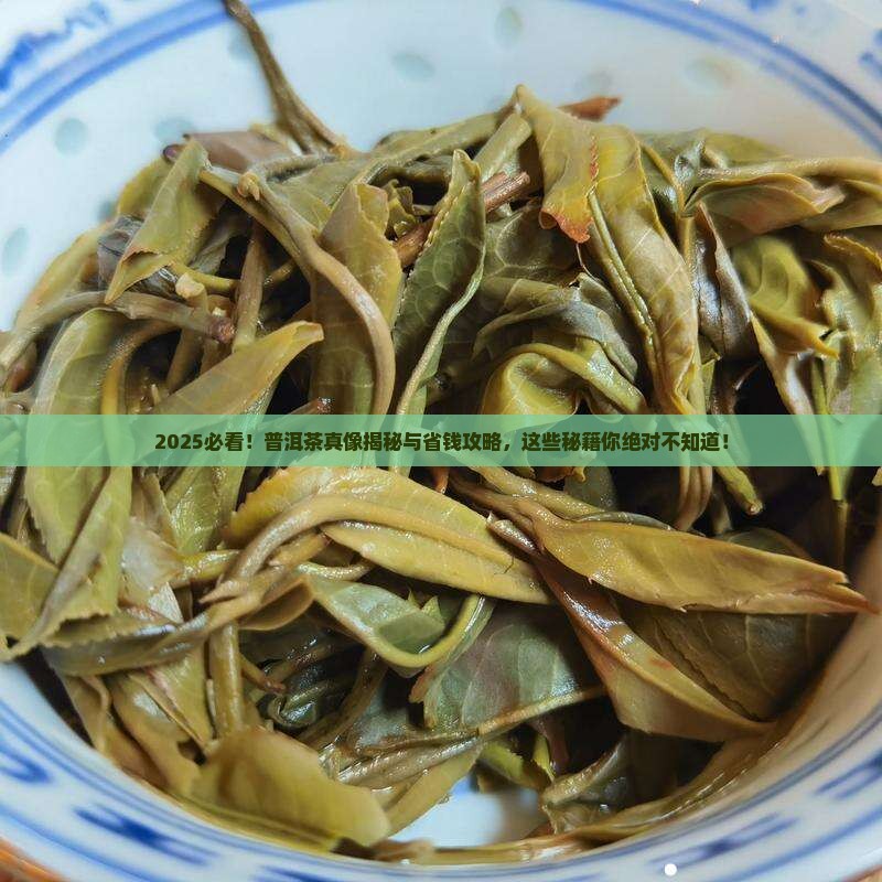普洱茶宣传文字