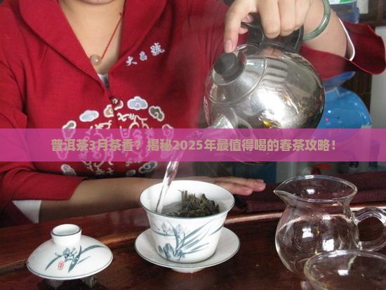普洱茶3月茶香