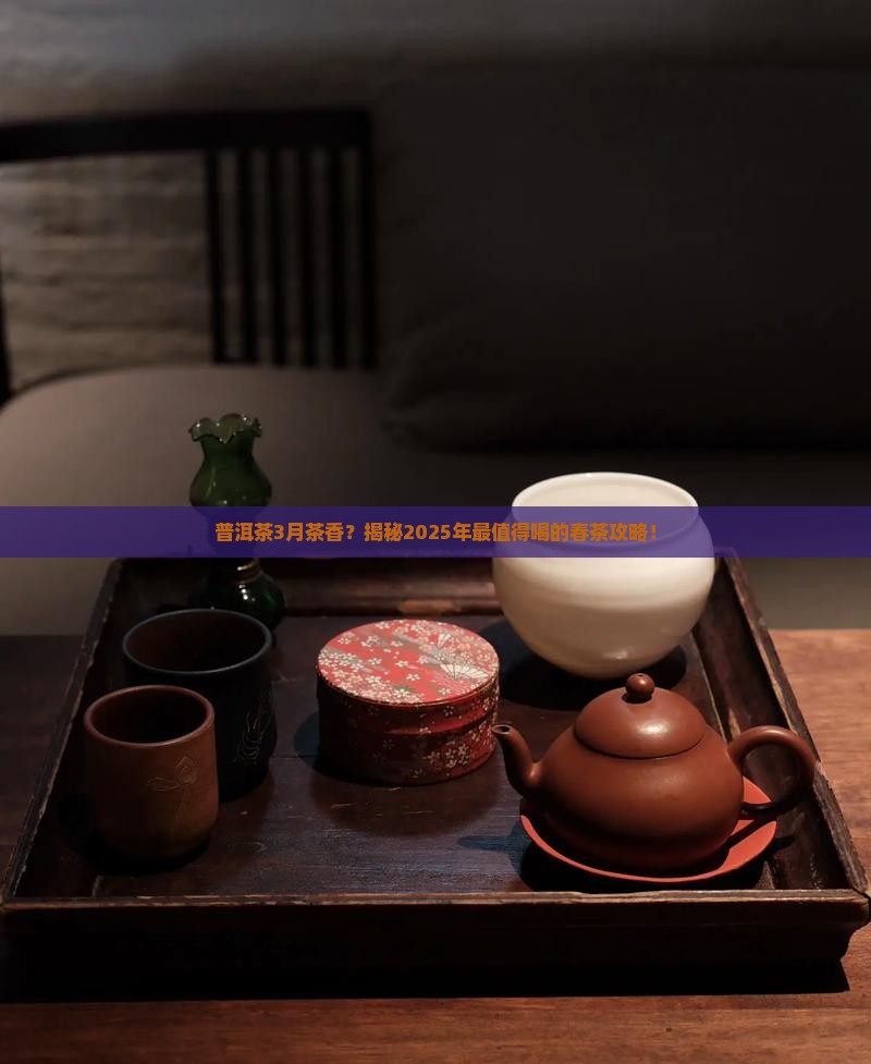 普洱茶3月茶香