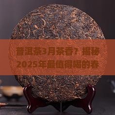 普洱茶3月茶香