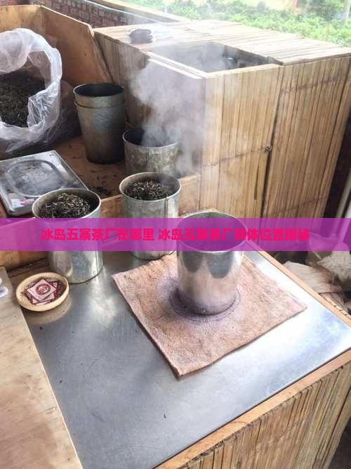 冰岛五寨茶厂在哪里