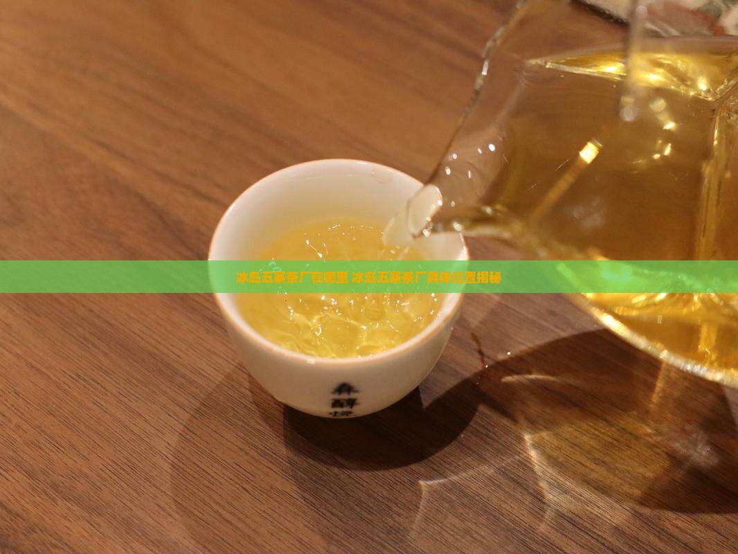 冰岛五寨茶厂在哪里