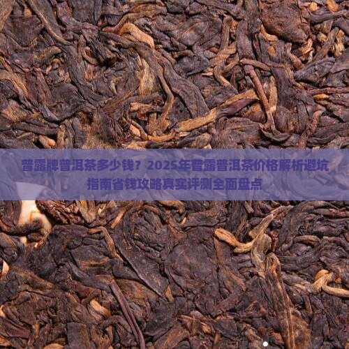 普露牌普洱茶多少钱