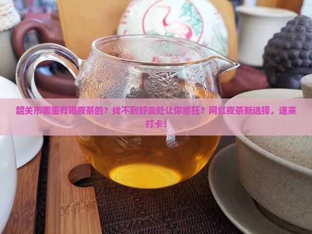 韶关市哪里有喝夜茶的