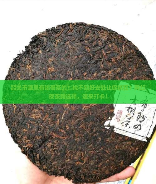 韶关市哪里有喝夜茶的