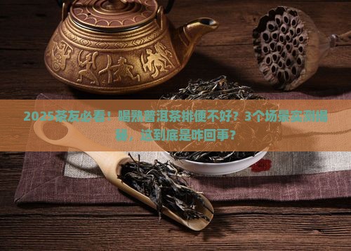 喝熟普洱茶排便不好