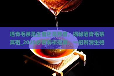 晒青毛茶是生普还是熟普
