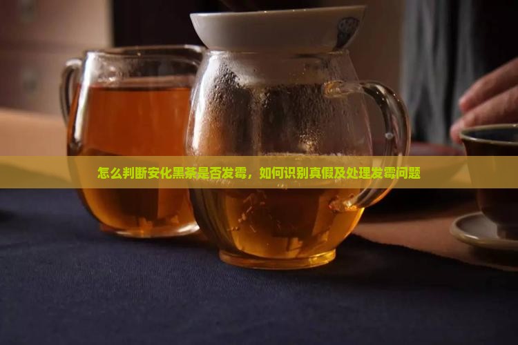 怎么判断安化黑茶是否发霉
