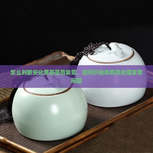 怎么判断安化黑茶是否发霉
