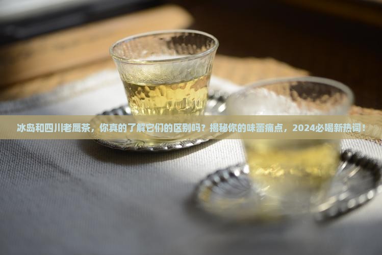 冰岛和四川老鹰茶