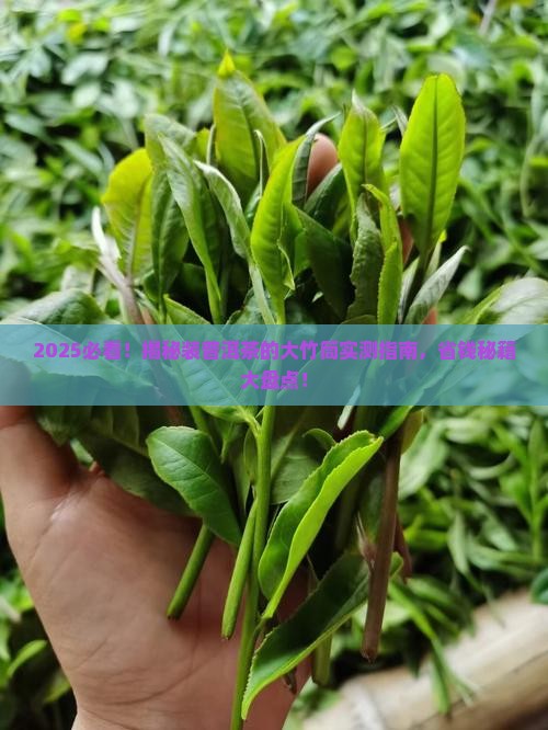 装普洱茶用的大竹筒