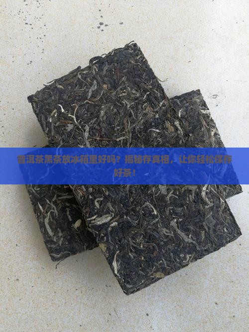 普洱茶黑茶放冰箱里好吗