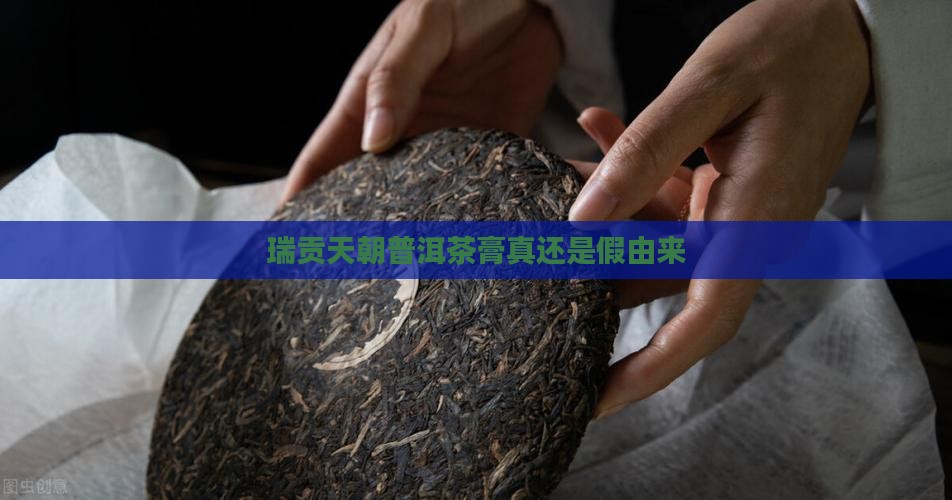 瑞贡天朝普洱茶膏真还是假
