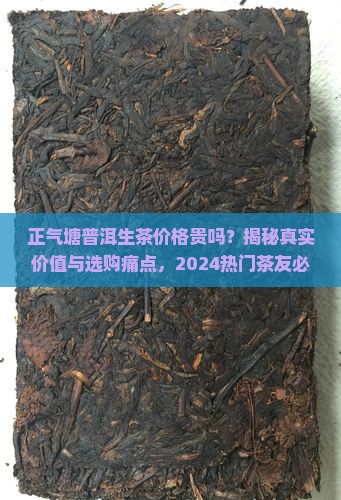 正气塘普洱生茶价格