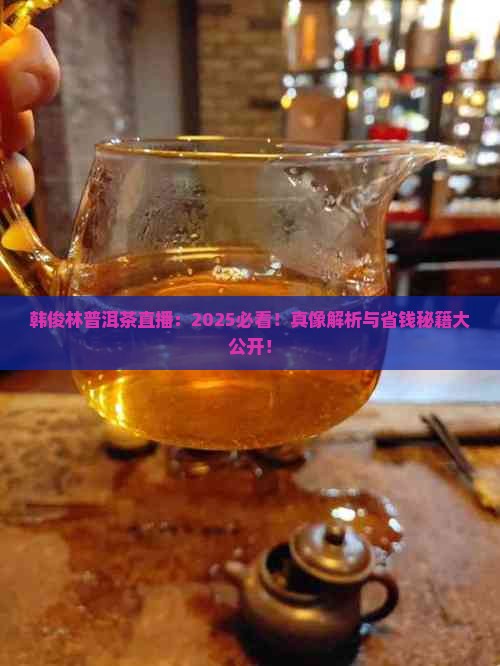 普洱茶韩俊林直播间