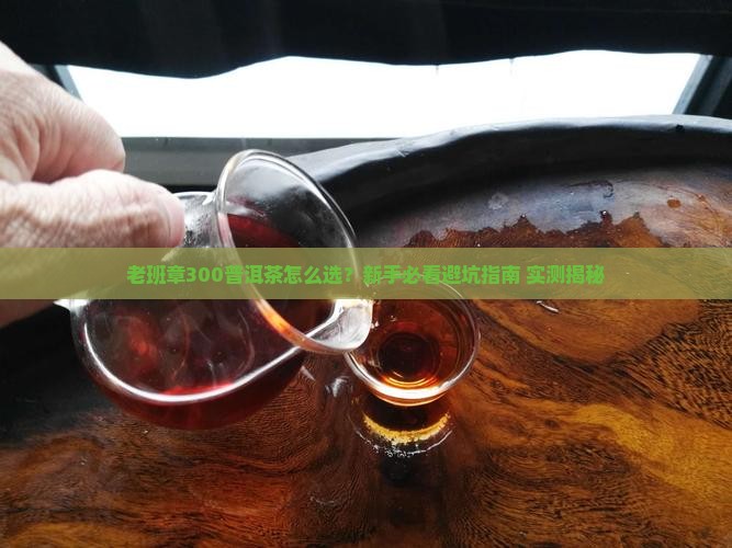 老班章300普洱茶官方旗舰店