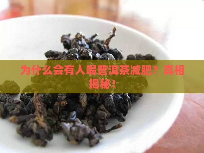为什么会有人喝普洱茶减肥