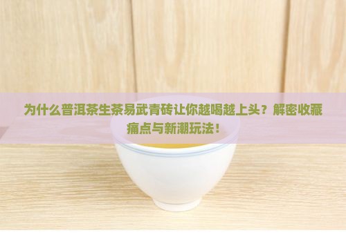 普洱茶生茶易武青砖