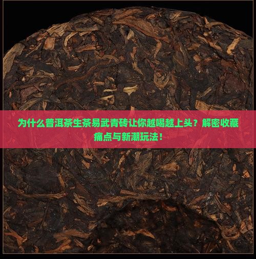 普洱茶生茶易武青砖