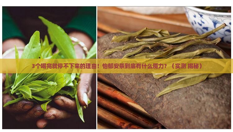 怡郁安茶的功效