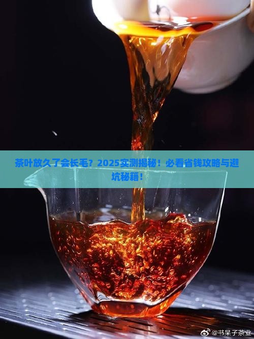 茶叶会过期长毛吗