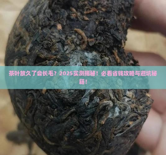 茶叶会过期长毛吗