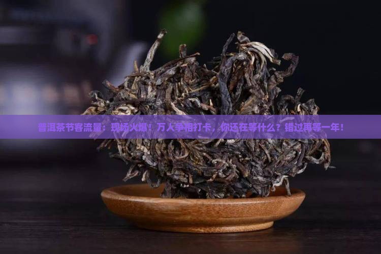 普洱茶节客流量