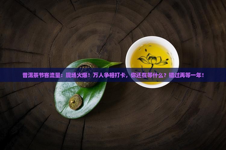 普洱茶节客流量
