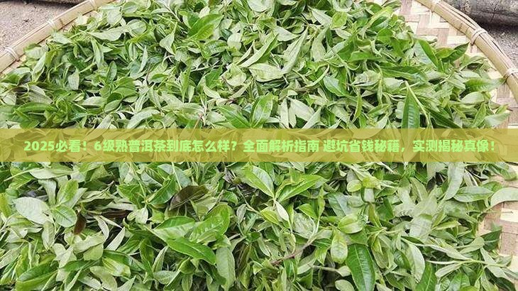 6级熟普洱茶怎么样