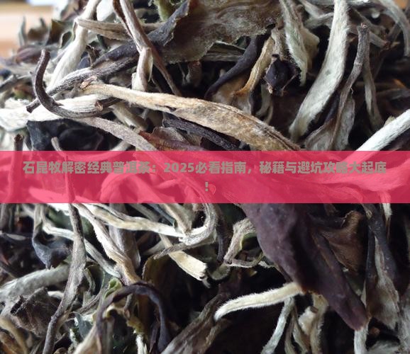 石昆牧讲经典普洱茶