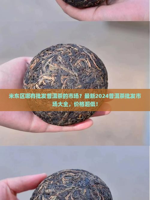 米东区哪有批发普洱茶的市场
