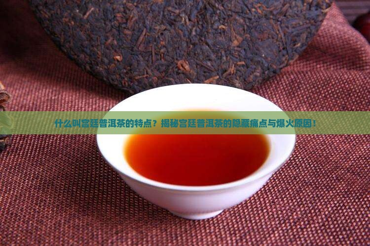 什么叫宫廷普洱茶的特点